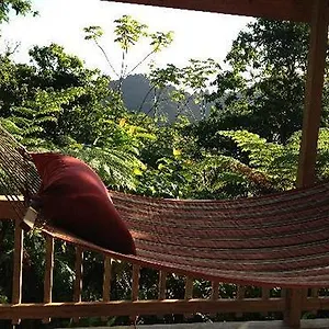 Lodge Roots Jungle Retreat Marigot